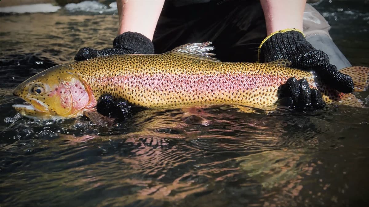 About Gunnison River Expeditions