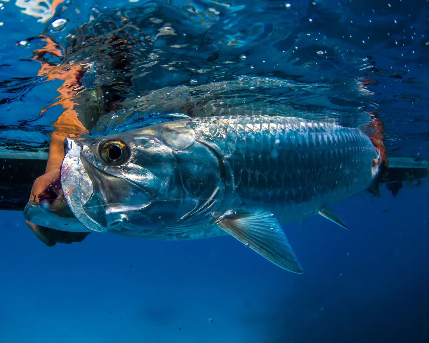 About El Pescador Lodge