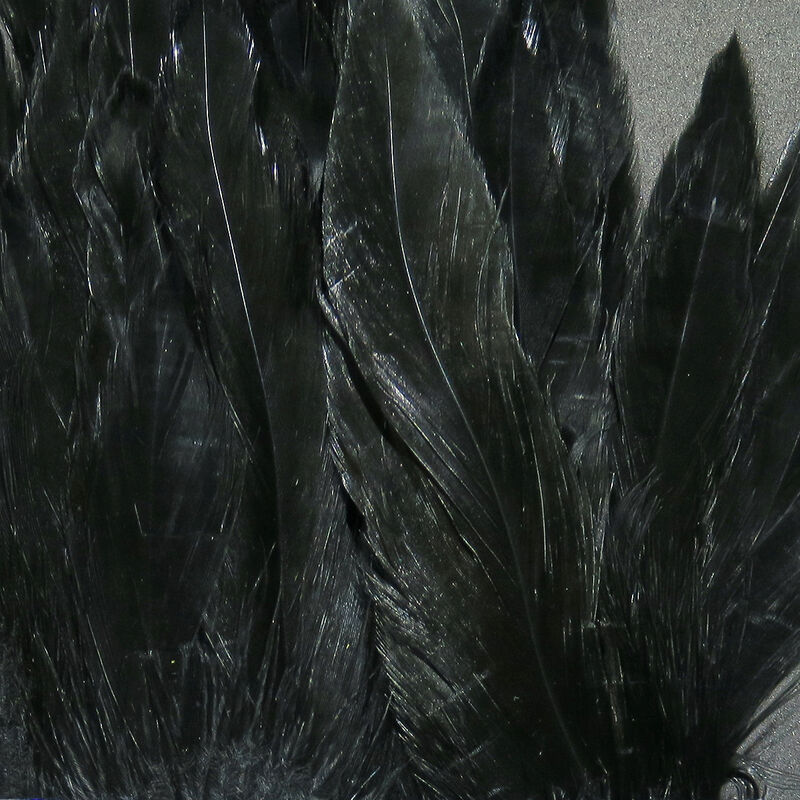 Hareline Schlappen Feathers