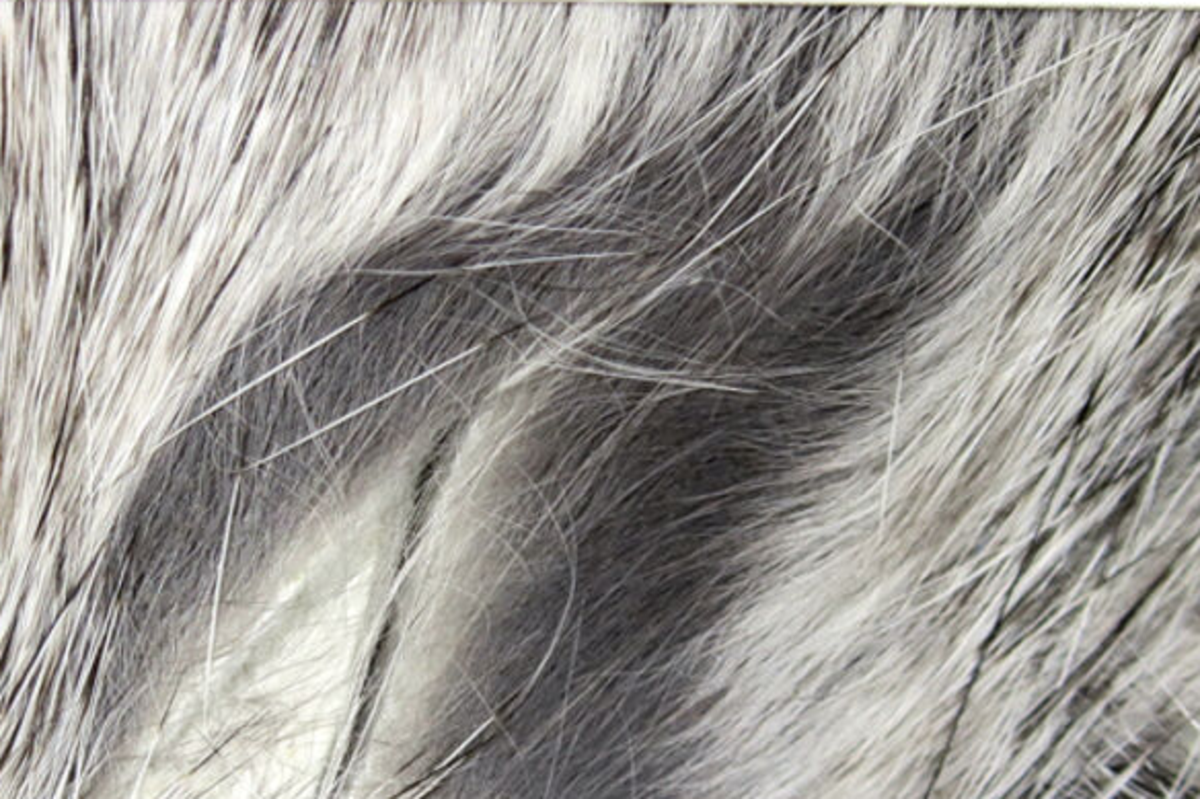 Hareline Rabbit Strips
