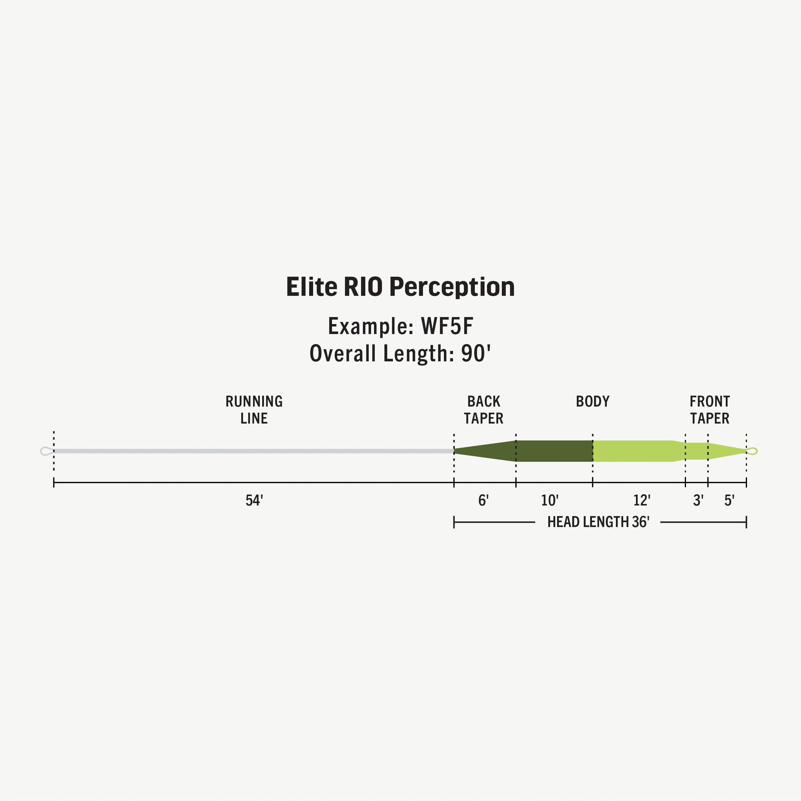 Rio Elite Perception Fly Line