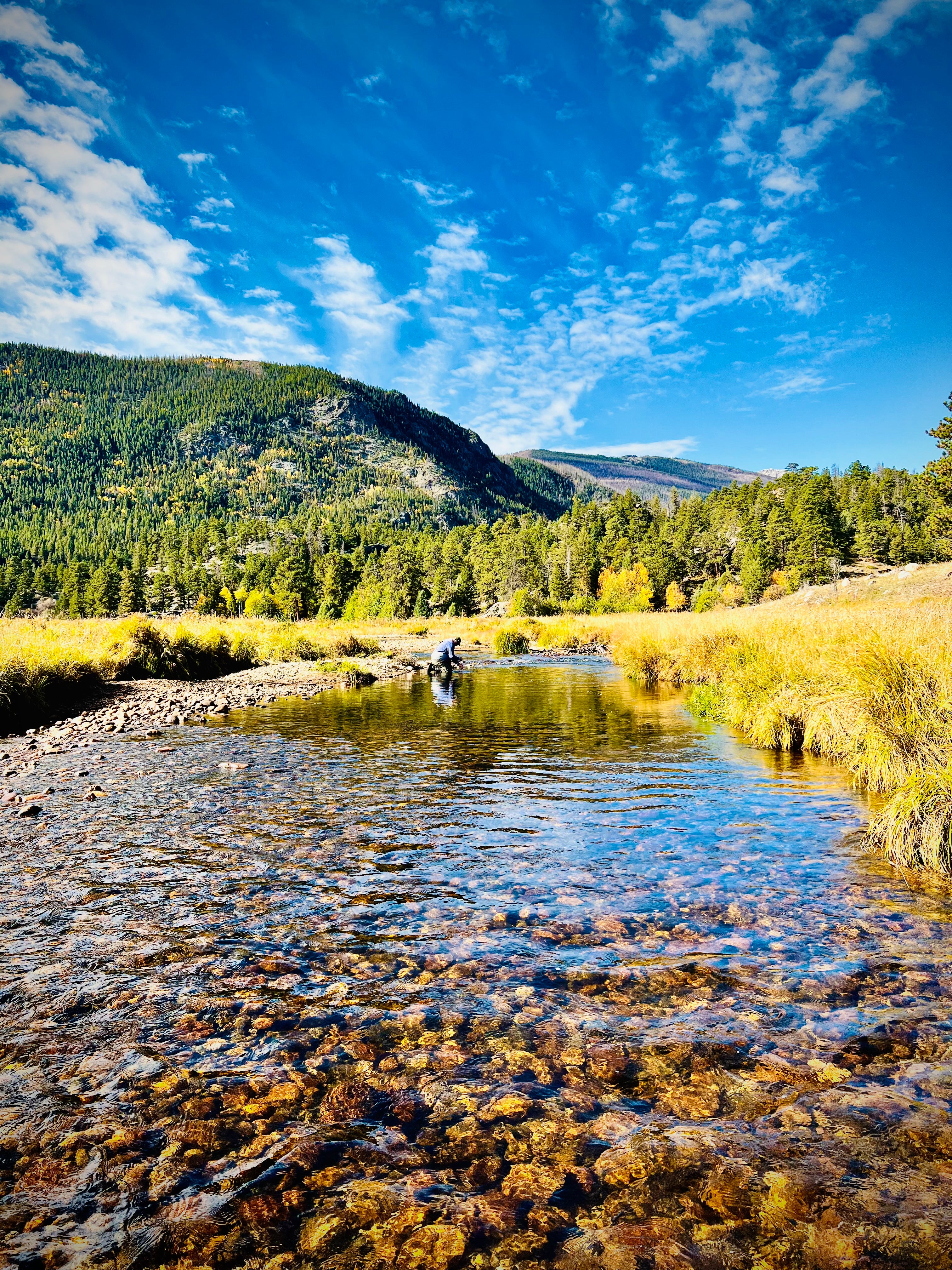 Intro To Rocky Mountain National Park - Full Day