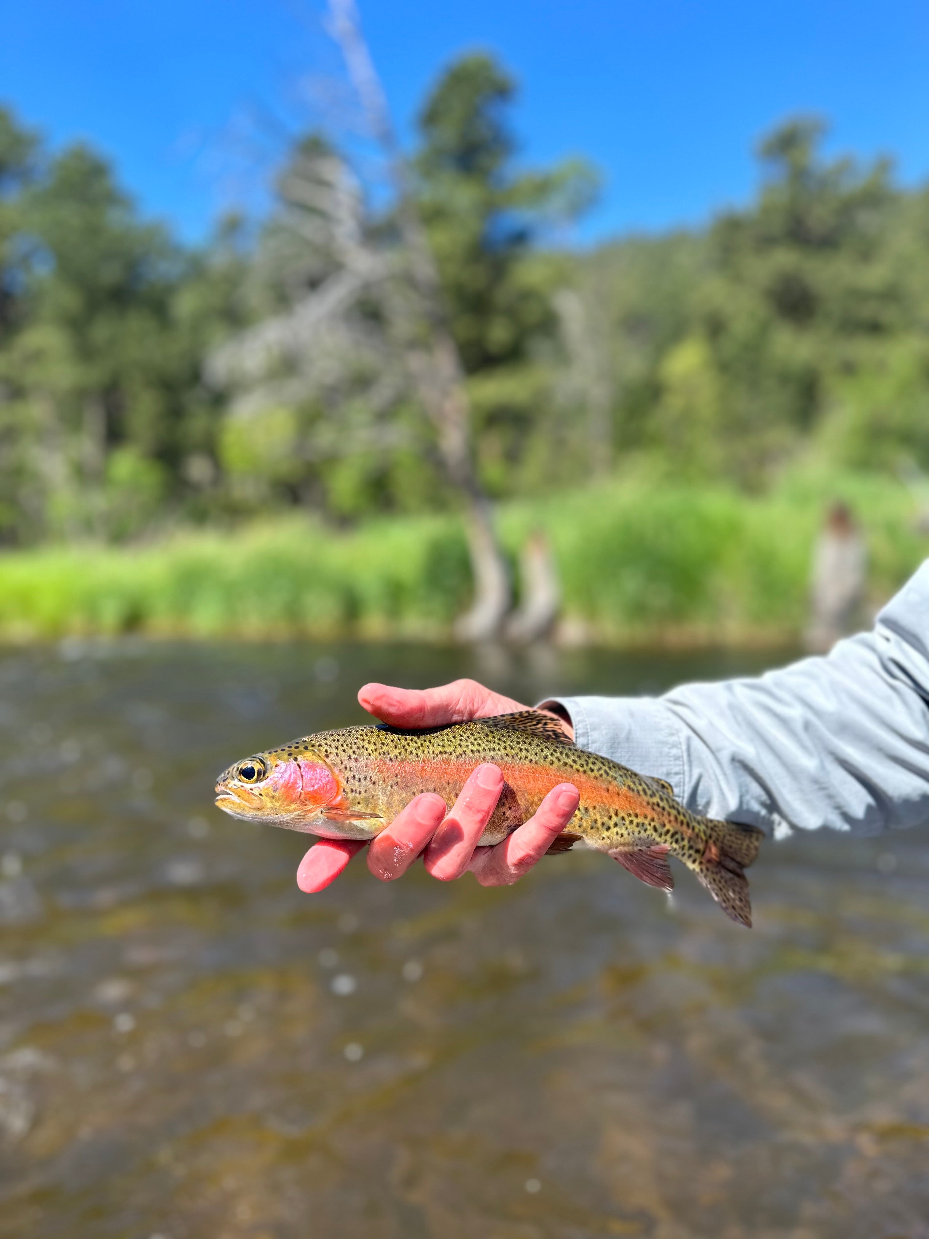 2026 Intro To Fly Fishing - On Water