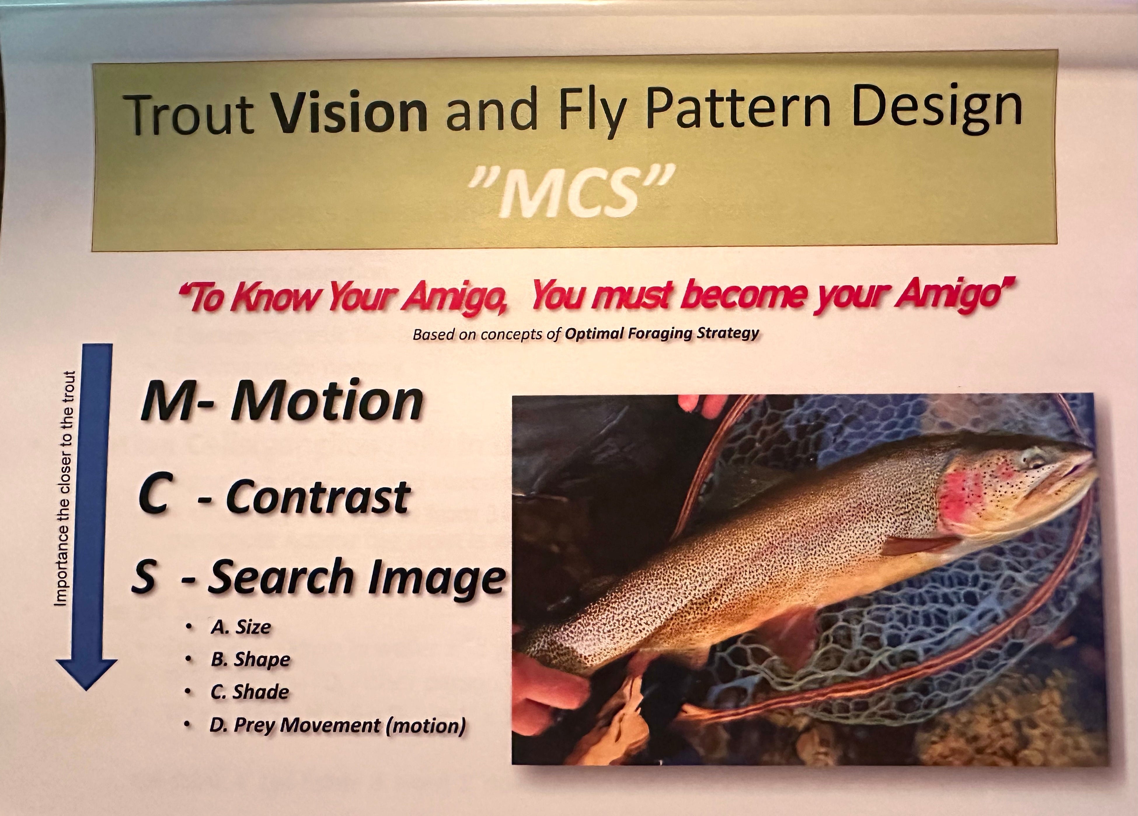 Andy Johann's - Trout Vision and Fly Pattern Design