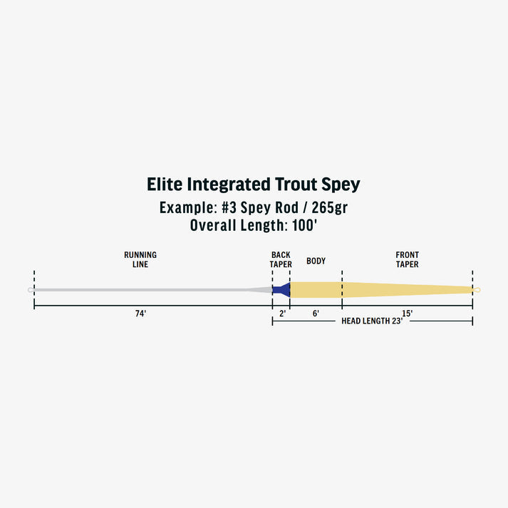 Rio Elite Integrated Trout Spey Fly Line