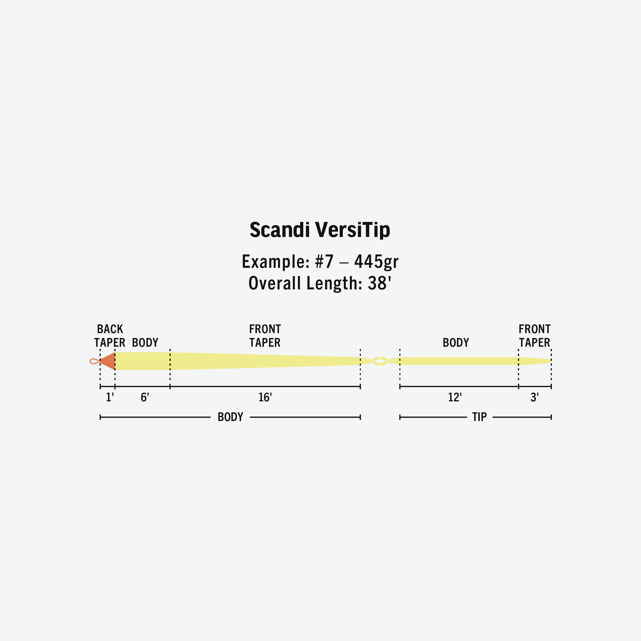 Rio Scandi VersiTip Fly Line