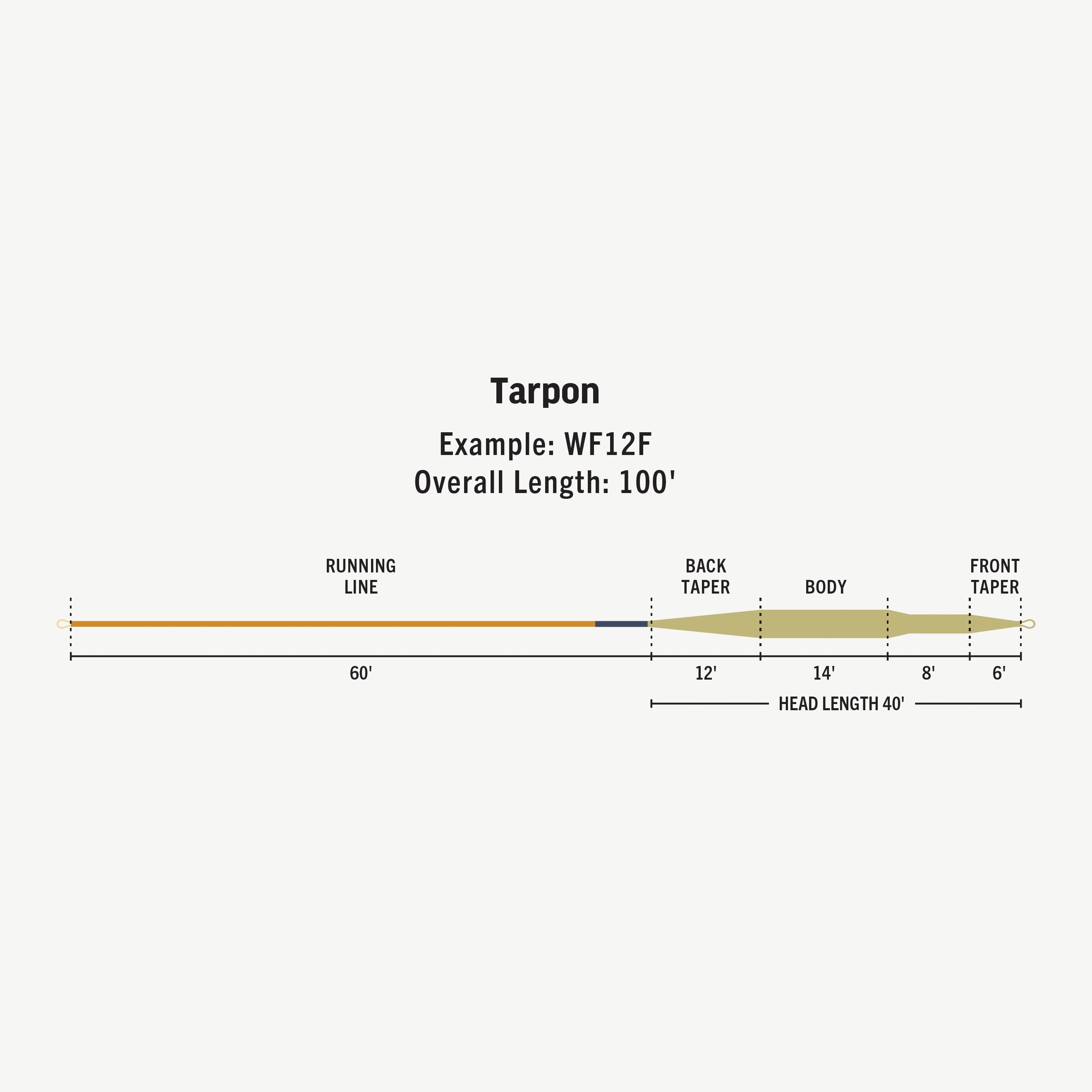 Rio Premier Tarpon Fly Line