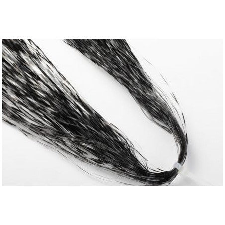 Barred Flashabou Magnum