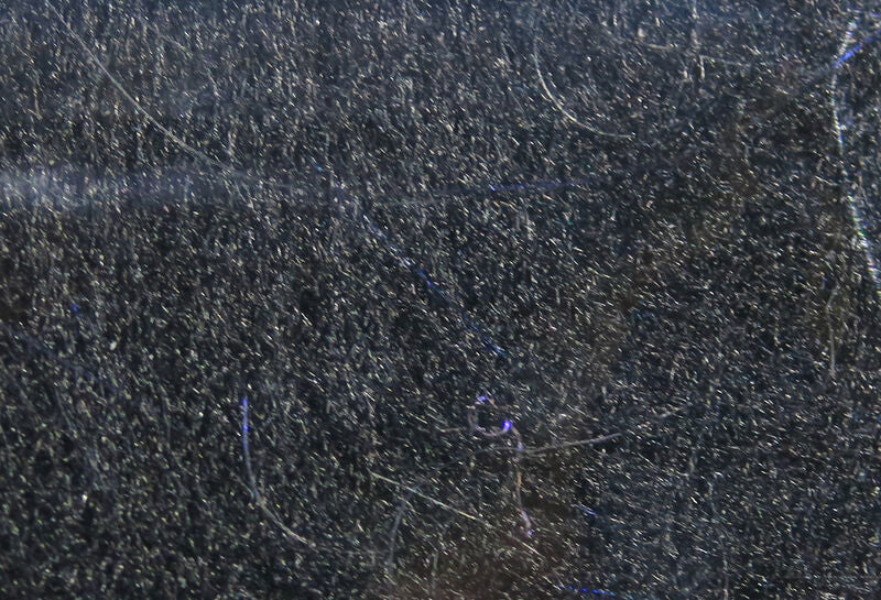 Fly Fish Food's Bruiser Blend Dubbing