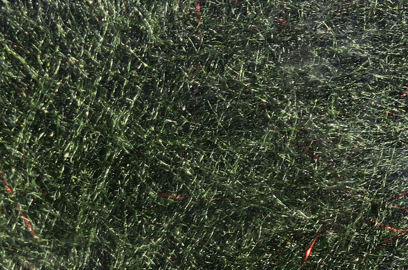 Fly Fish Food's Bruiser Blend Dubbing