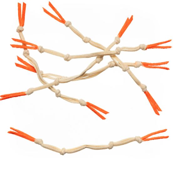 EP Langostino Claws