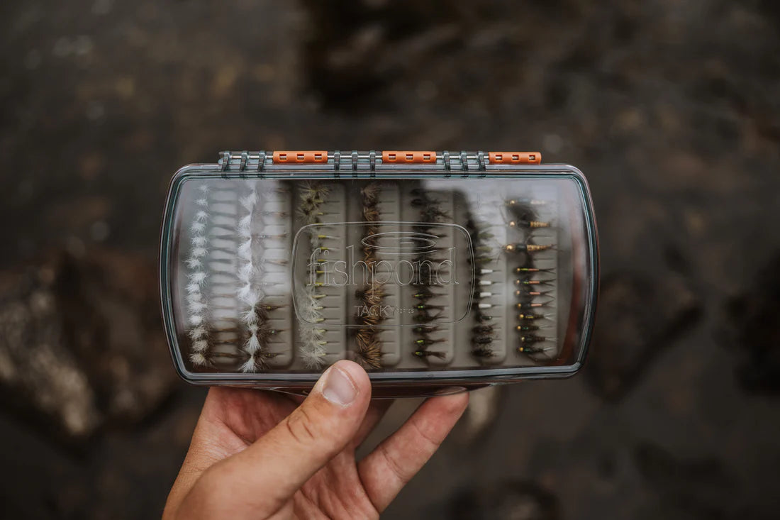 Fishpond Tacky Pescador Fly Box - Medium, Clear