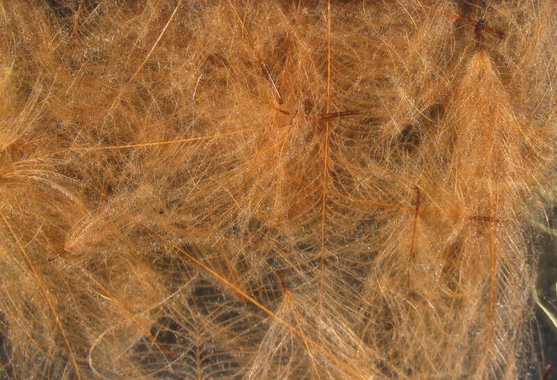 Hareline Cul De Canard