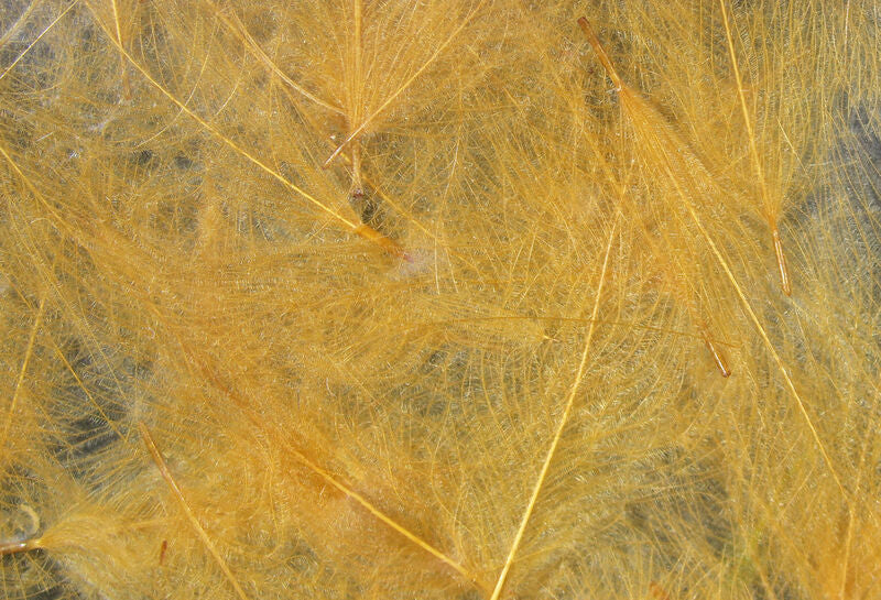 Hareline Cul De Canard