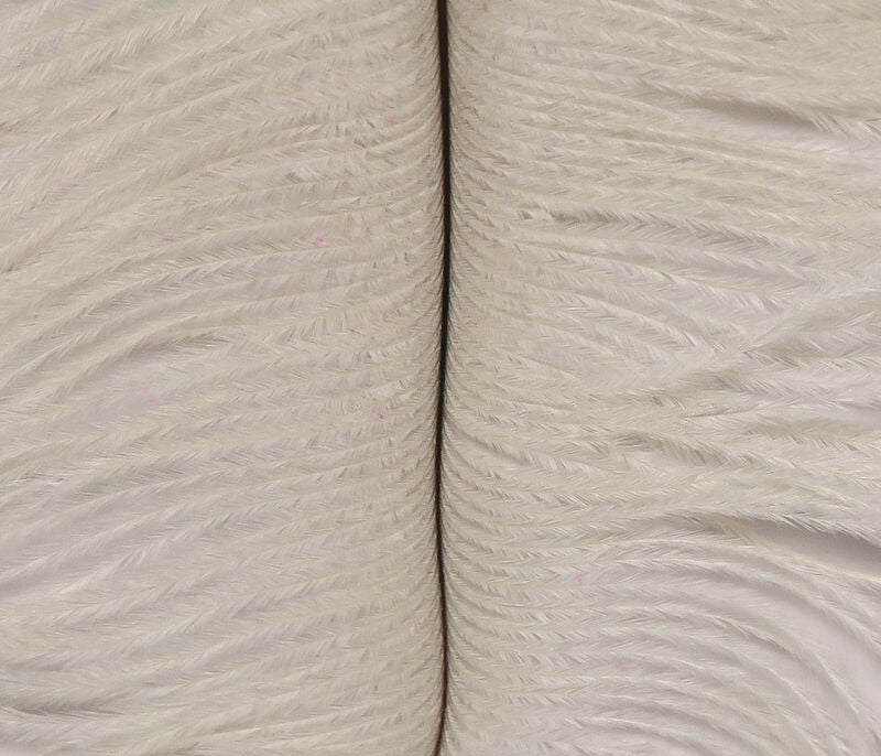 Hareline Ostrich Plume