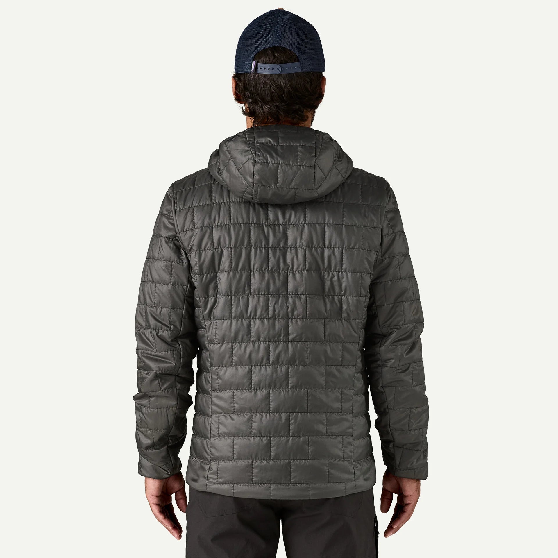 Patagonia Men's Nano Puff® Fitz Roy Trout Hoody