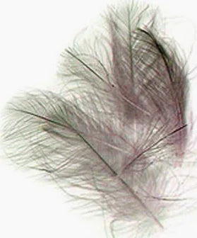 Wapsi Cul-De-Canard (CDC)