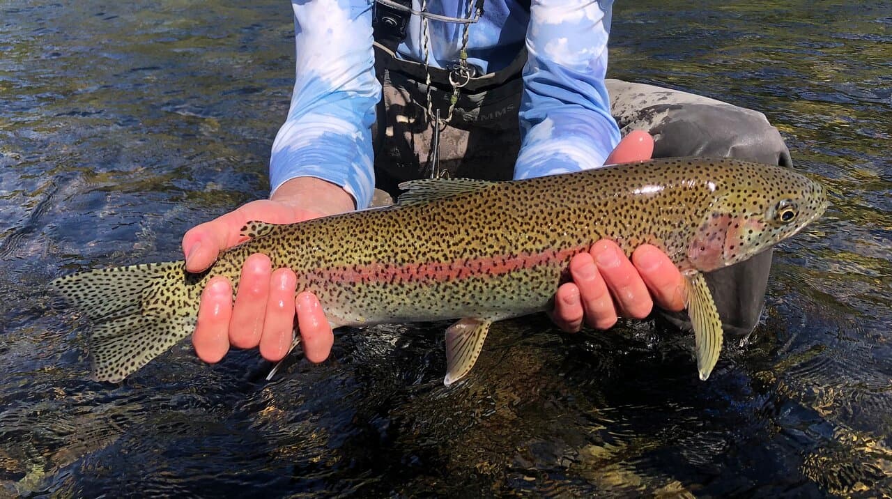 About Iliamna River Lodge