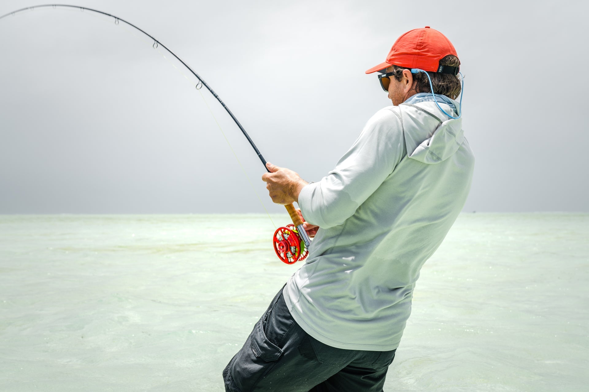 Cortland GT / Tuna Tropic Plus Series