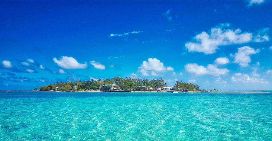 St. Brandon's Atoll Fly Fishing Trips