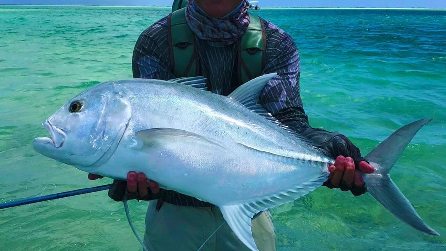 Giant Trevally Fly Fishing Trips