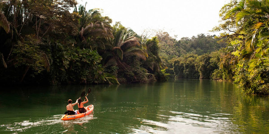 Copal Tree Lodge