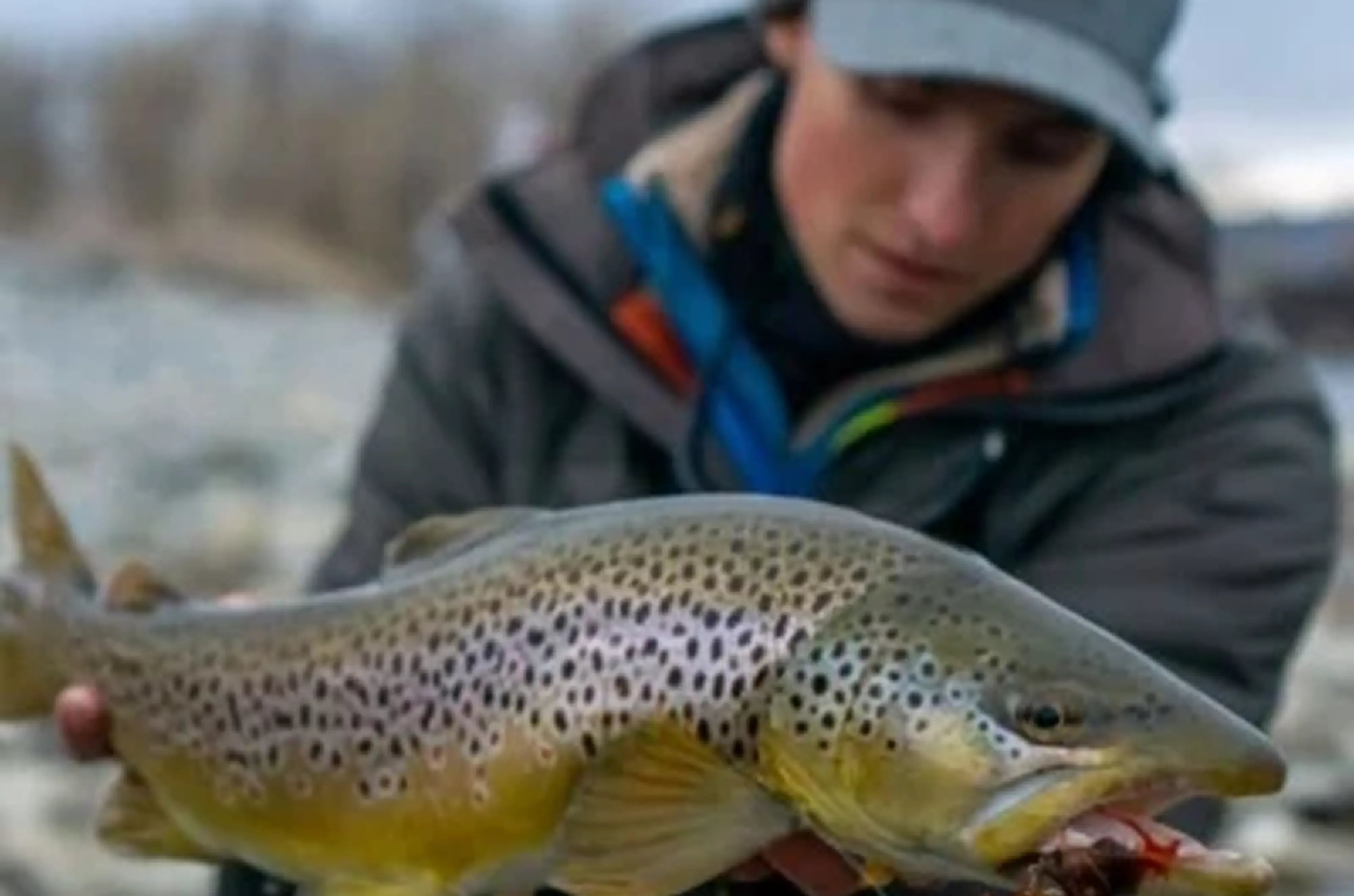 About Wet Net Outfitters