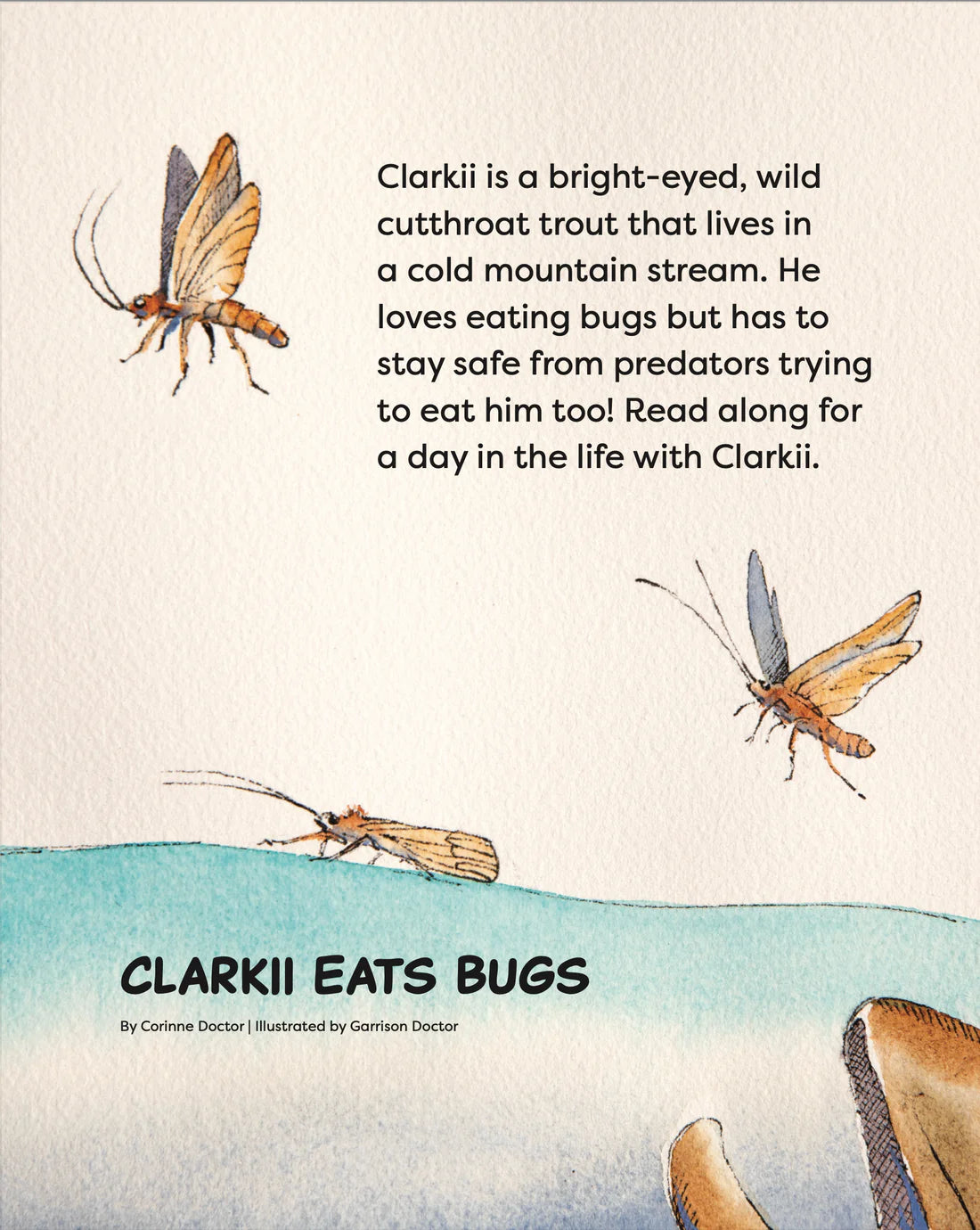 Clarkii Eats Bugs Childrens Book