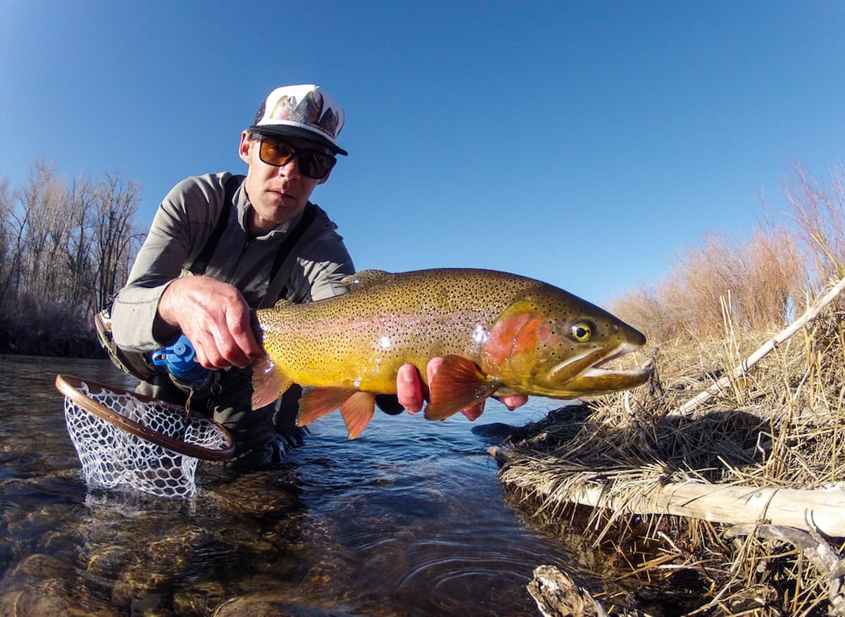 About Flat Tops Wilderness Guides