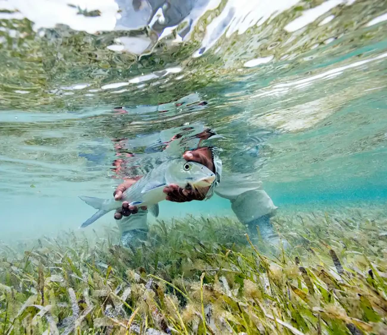 About Fly Fish Guanaja