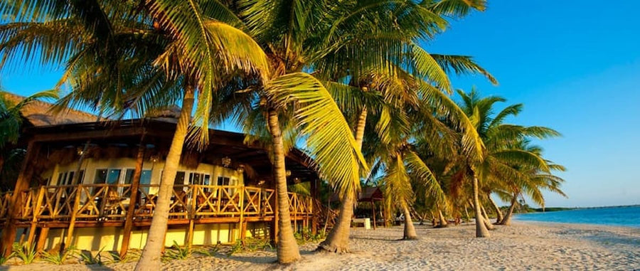 Palometa Club
