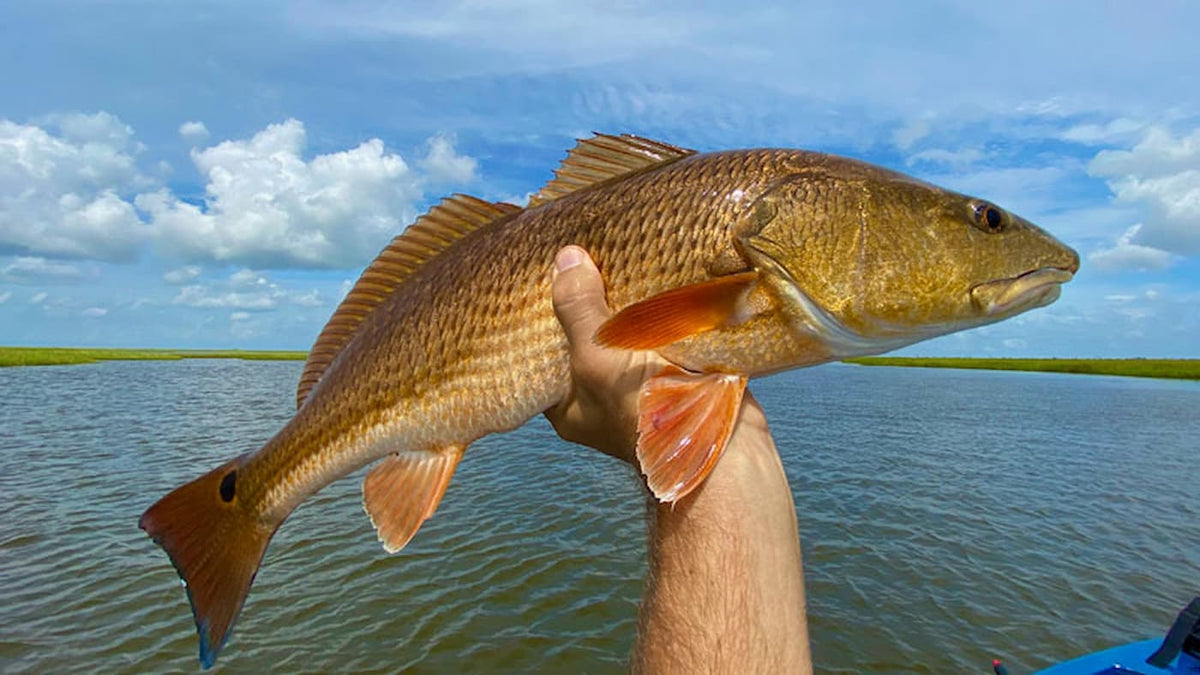 Birddog Fishing Co