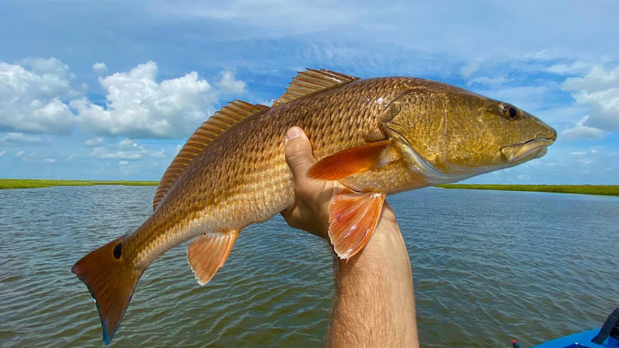 Birddog Fishing Co