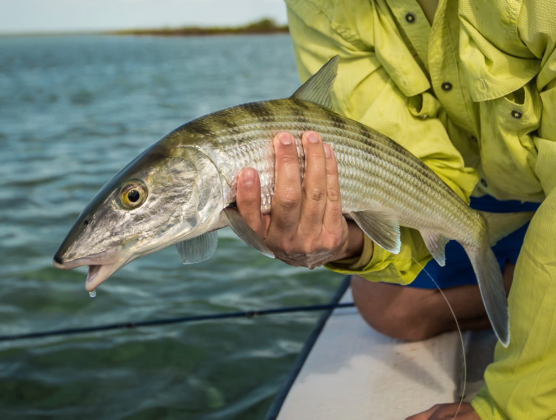 Bonefish Range East End Lodge
