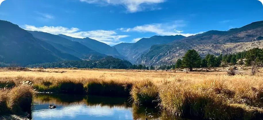Fall Adult Camp