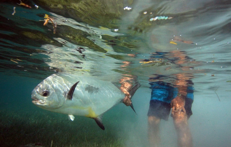 About Fly Fish Guanaja Fishing
