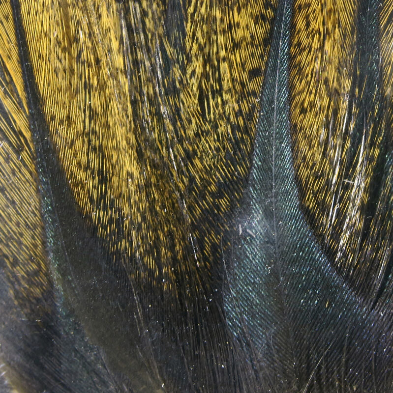 Hareline Gallo De Leon Saddle Feathers