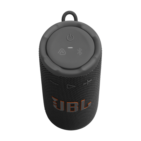 JBL Grip Speaker