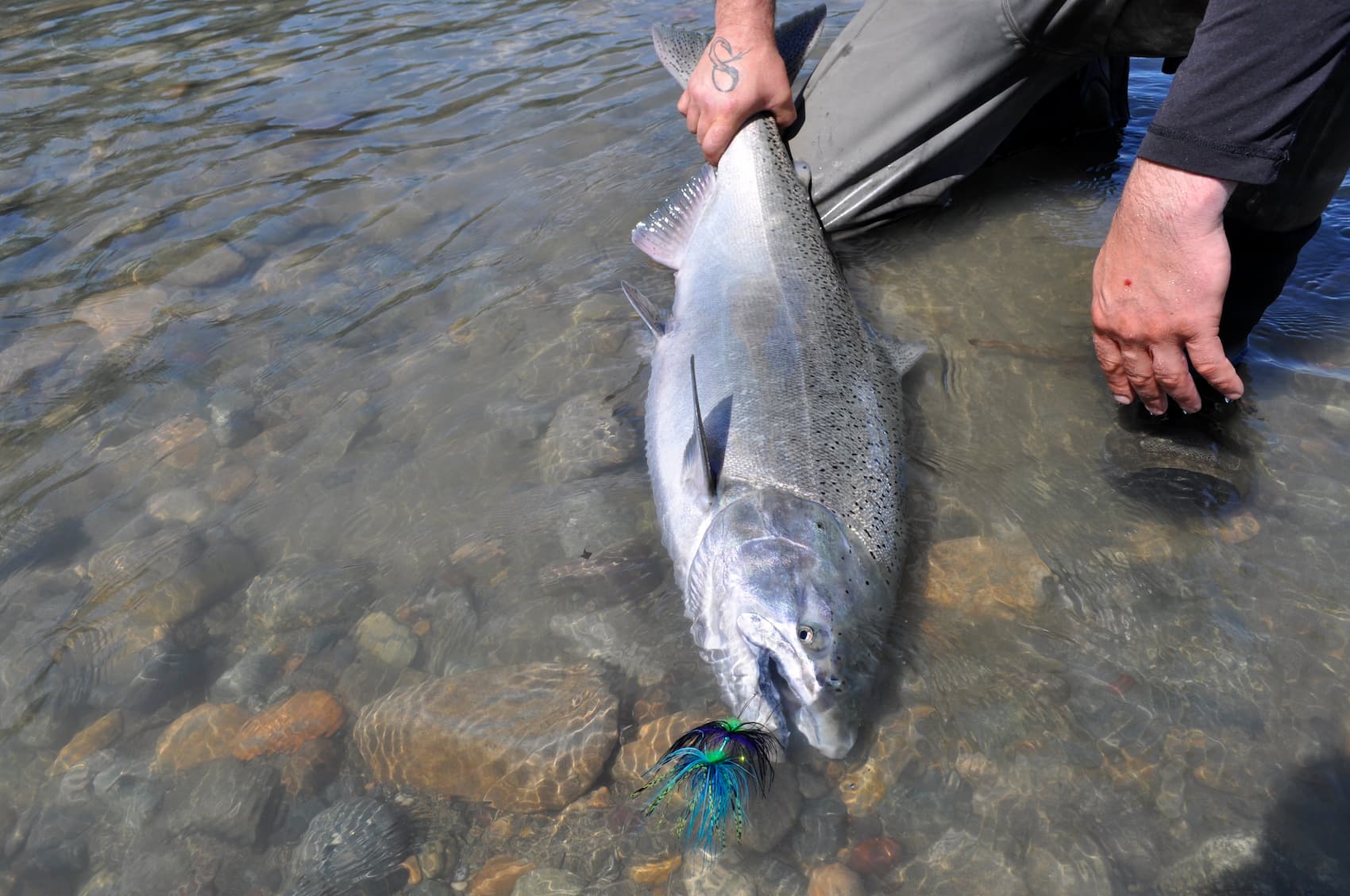 About Westcoast Fishing Adventures