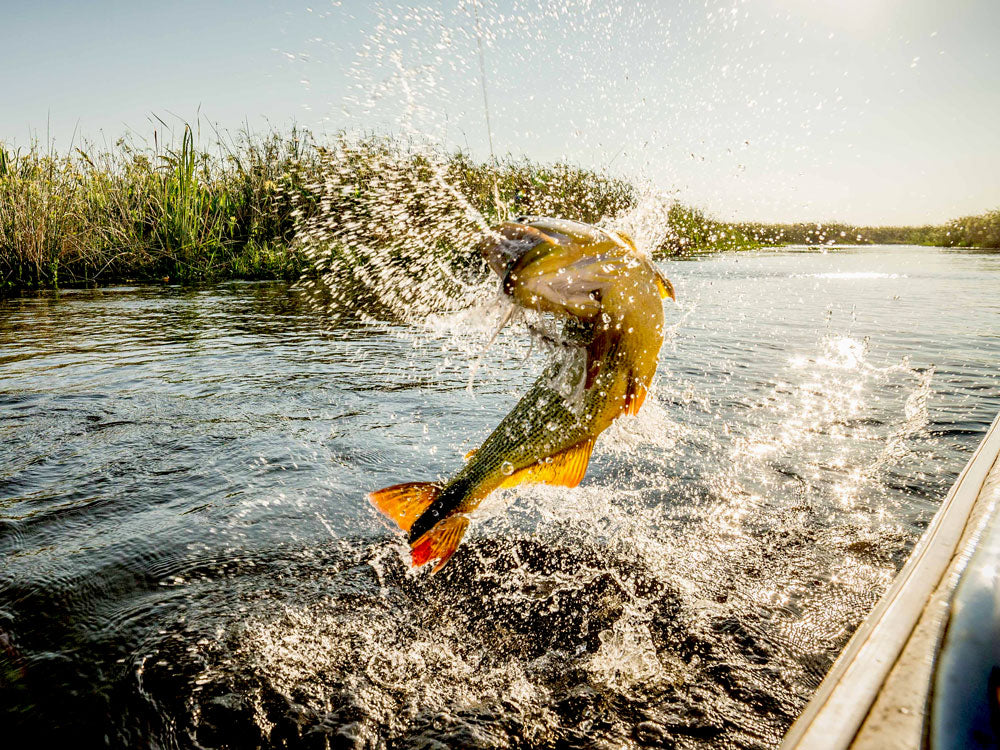 SET Fly Fishing Argentina Dummy Product