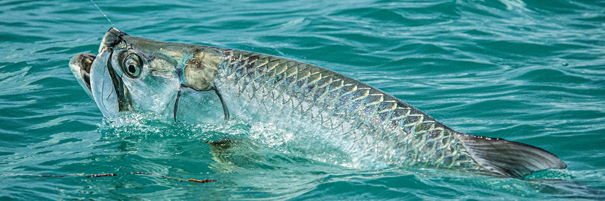 Florida Keys Fishing Guides