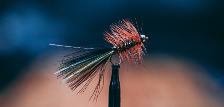 CWSFF Fish Hat (Two Color Varieties) — Colorado West Slope Fly Fishing