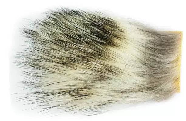 Wapsi Badger