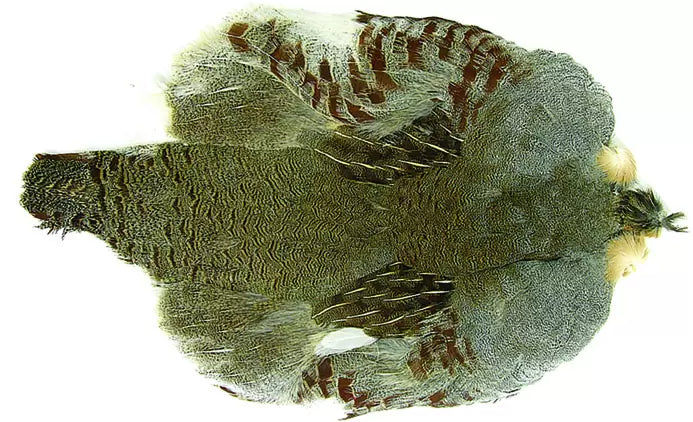 Wapsi Hungarian Partridge - Part Skin